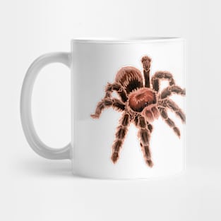 Chilean Rose Hair Tarantula Mug